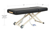 Standard 2-Section Electric Lift Massage Table, SC-3001